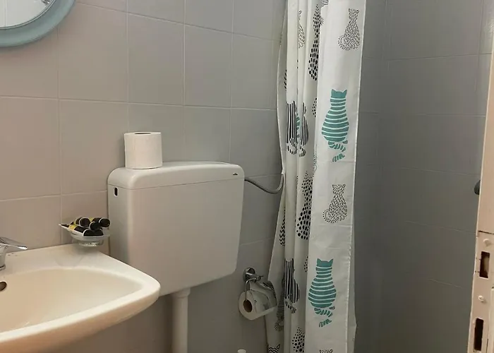 Rigas-zoi 5 招待所 斯基亚索斯镇